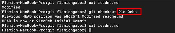 git checkout